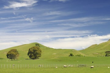 Hawkes Bay region