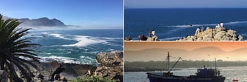 Hermanus landscapes & whale watching