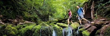 Hiking through Fundy National Park, New Brunswick