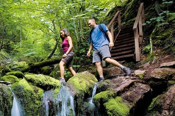 Hiking through Fundy National Park, New Brunswick