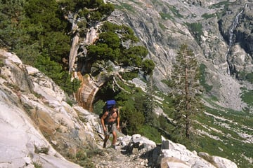 Hiking in Sequoia National Park