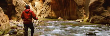 Hiking the Narrows in Zion National Park