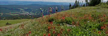 Hiking in the summer at Sun Peaks