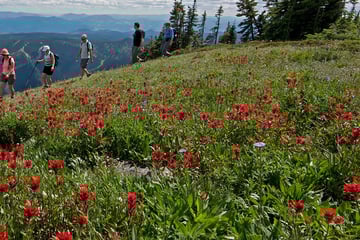 Hiking in the summer at Sun Peaks