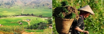 The Hills and Mountains of Northern Vietnam