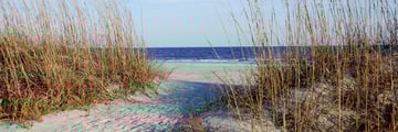 Hilton Head sand dunes, South Carolina