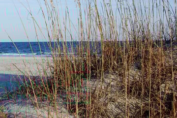 Hilton Head sand dunes, South Carolina