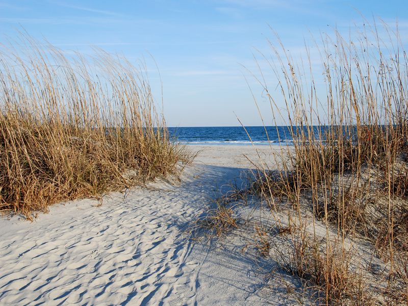 Hilton Head sand dunes