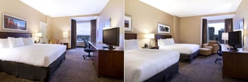 Hilton Saint John, King Room and Two Queen Room