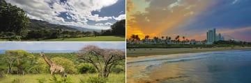Hluhluwe giraffe, Swaziland & Durban