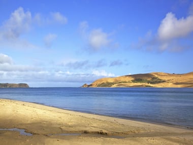 Mouth of Hokianga Harbour