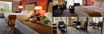 Holiday Inn Montreal Centreville Downtown, Twin Room, Guest Room with Balcony and Presidential Suite