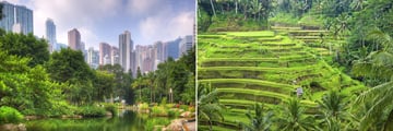 Ubud rice paddies and Hong Kong skyline