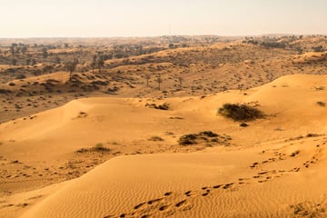 Horse riding in Ras Al Khaimah