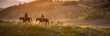 Horse ride in Wyoming