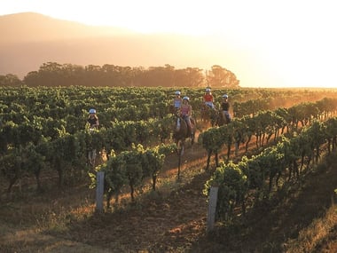 Horseriding at sunset