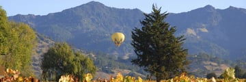 Hot air balloon flying over Napa Valley