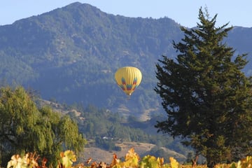Hot air balloon flying over Napa Valley