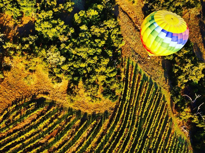Hot air balloon over Napa Valley