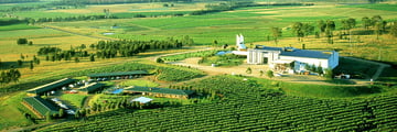 Aerial View of Hunter Valley Resort