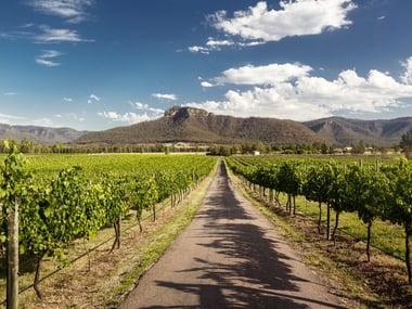 Blue Mountains & Hunter Valley