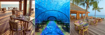 Hurawalhi Island Resort, Aquarium Restaurant, 5/8 Undersea Restaurant and Canneli Restaurant 