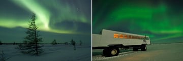 Manitoba Northern Lights & Tundra Buggy Experience