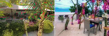 Restaurant and Dining on the Beach at Indigo Beach Zanzibar 