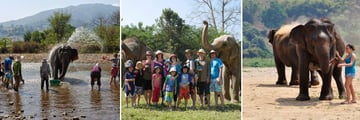 Elephant Interactions at the Elephant Nature Park