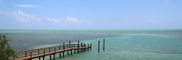 Islamorada jetty, just outside Lazy Days