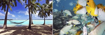 Rorotonnga Island hammock on the beach & The Cook Islands tropical marine life
