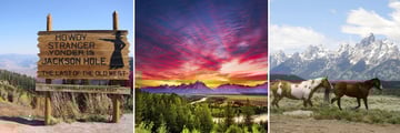 Jackson Hole, Snake River & Wild Horses, Wyoming