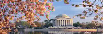 The Jefferson Memorial in Washington D.C