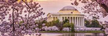 Jefferson Memorial and cherry blossom in Washington DC