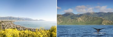 Kaikoura, South Island