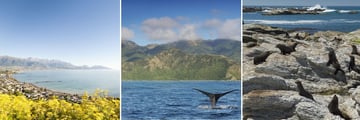 Kaikoura, South Island