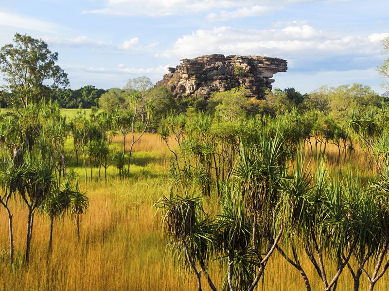 Kakadu National Park landscape