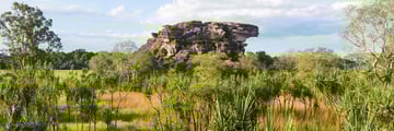 Kakadu National Park, Northern Territory