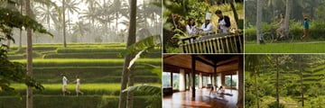 Kamandalu Resort & Spa, Ubad, Activities: Trekking, Cooking Class, Cycling and Yoga