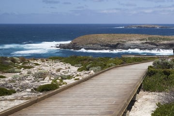Kangaroo Island board walk
