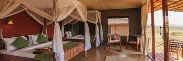 Karatu Simba Lodge tents