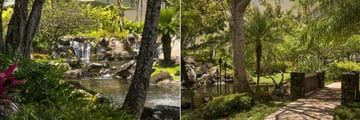 Waterfall and Gardens at The Royal Sonesta Kaua'i Resort Lihue