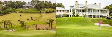 Kauri Cliffs, Golf