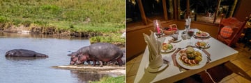 The hippo pool and restaurant at Keekorok Lodge