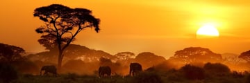 Amboseli National Park