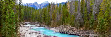 Kicking horse river, Yoho National Park, Kootenay Rockies