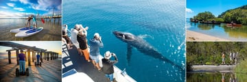 Activites at Kingfisher Bay Resort - K'Gari include Paddle Boards, Whale Watching, Guided Canoe Paddle, Guided Range Walks and Segway Adventures  