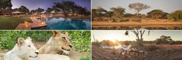Kings Camp & Timbvati Game Reserve