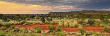 Kings Canyon
