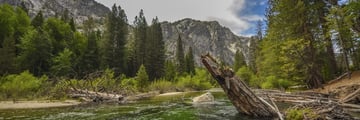 Kings River